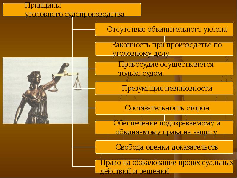 Уголовное процессуальное право презентация