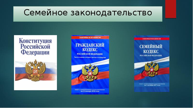 Семья под защитой закона презентация