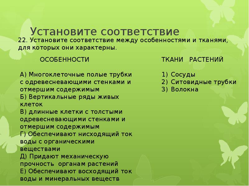 Установите соответствие вертикальные. Многоклеточные полые трубки. Многоклеточные полые трубки с одревесневающими. Длинные клетки с толстыми одревесневающими стенками. Вертикальные ряды живых клеток.