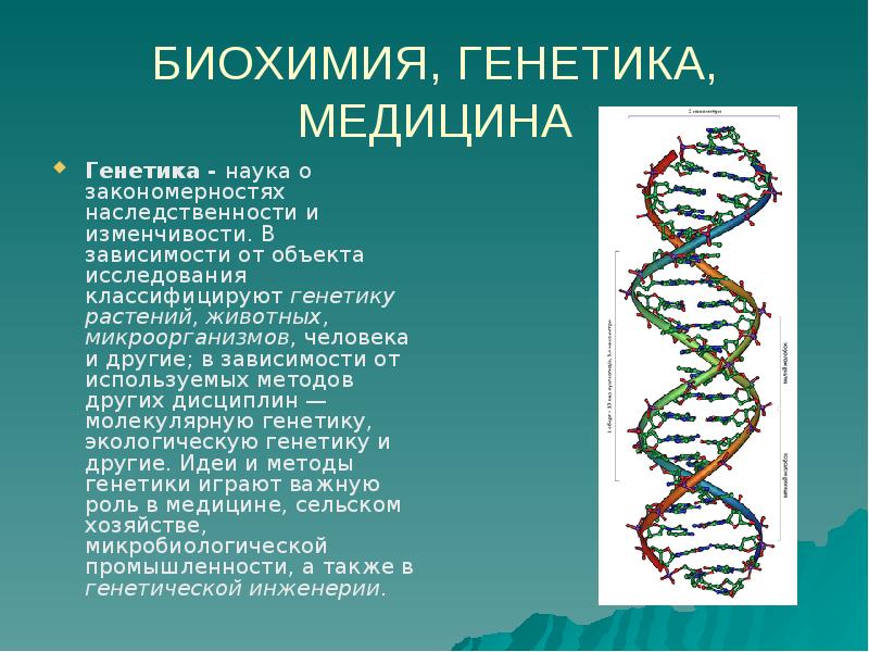 Биохимический метод генетики презентация