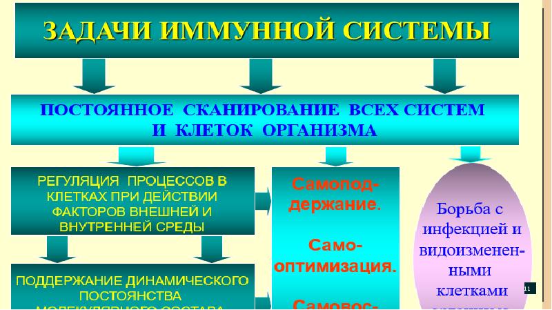 переход роль. переход роль. правила дорожного движения для пешеходов. какие бывают виды пешеходных переходов? *. самый безопасный пешеходный переход.
