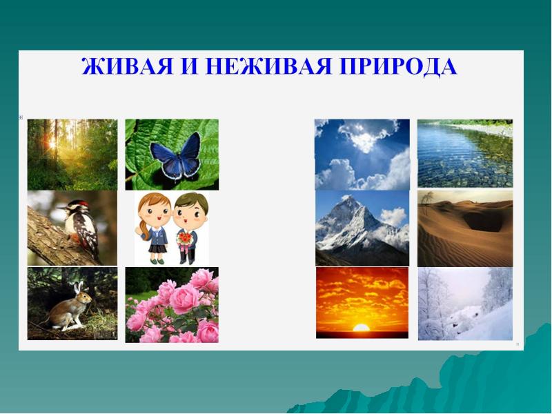 Что такое природа презентация