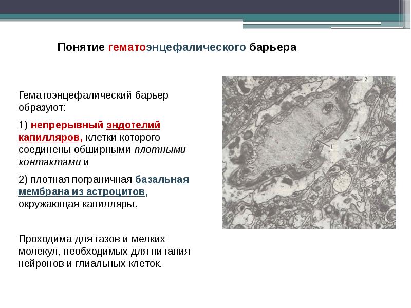Функция пограничного барьера