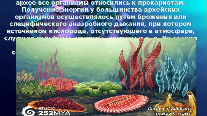 Презентация про протерозойскую эру по биологии 9 класс