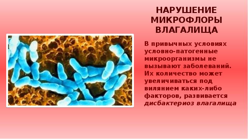 Расстройство микрофлоры. Расстройство микрофлоры