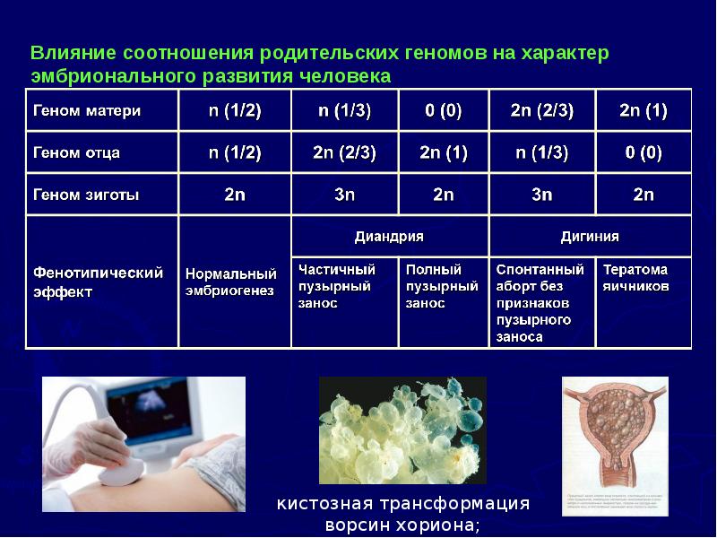 Влияние соотношения родительских геномов на характер эмбрионального развития человека