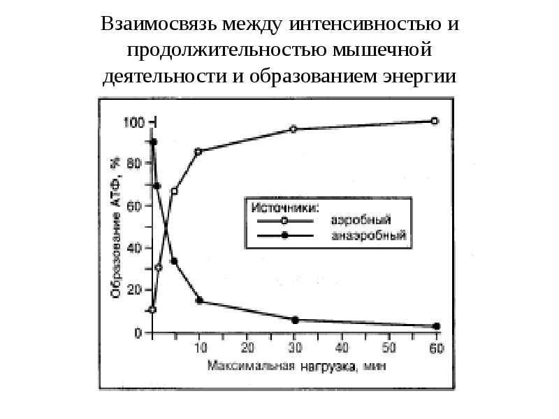 Пути образования энергии в клетке презентация