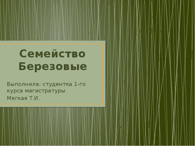 Семейство Березовые Выполнила: студентка 1-го курса магистратуры Мягкая Т.И.