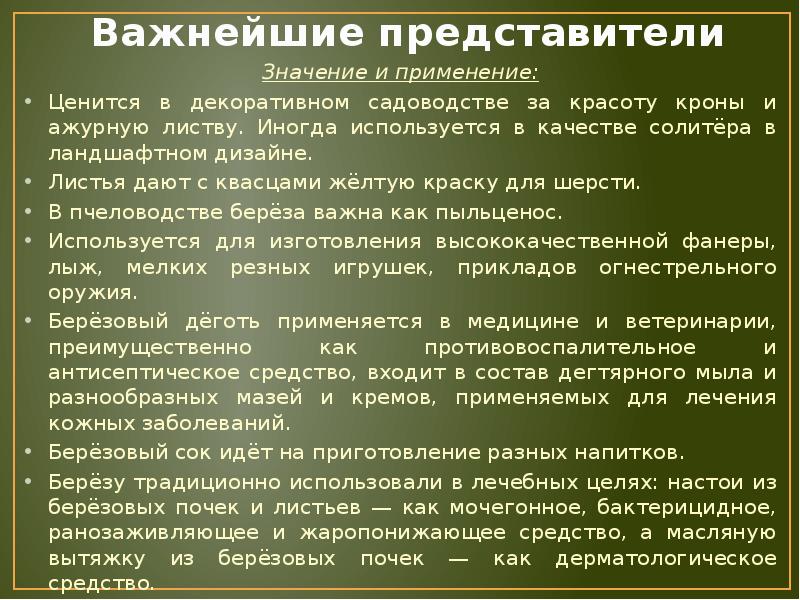 Важнейшие представители Значение и применение: Ценится в декоративном садоводстве за красоту