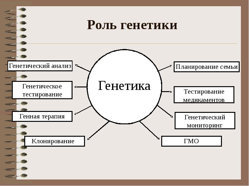 Генетическая роль