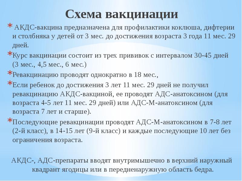 Особенности вакцинации хорьков: сроки, вакцины, противопоказания