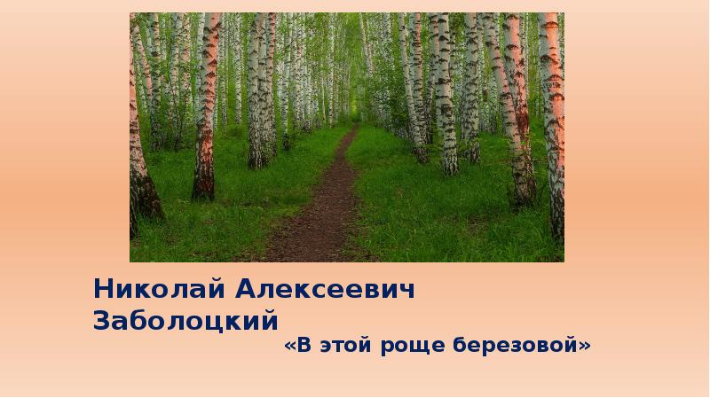 В этой роще березовой. Заболоцкий Березовая роща. Заболоцкий Подмосковные Рощи. Утро Заболоцкий Березовая роща. В этой роще березовой Заболоцкий.