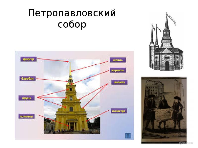 Петропавловский собор чертеж