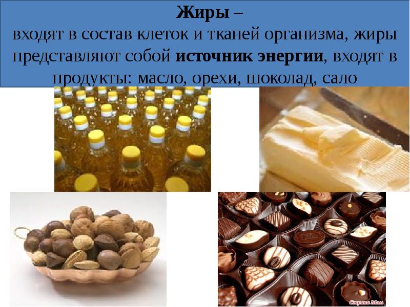 Жиры презентация 6 класс