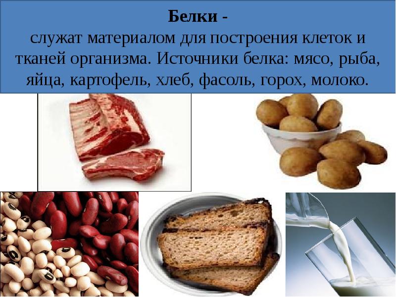 Food 5 класс презентация