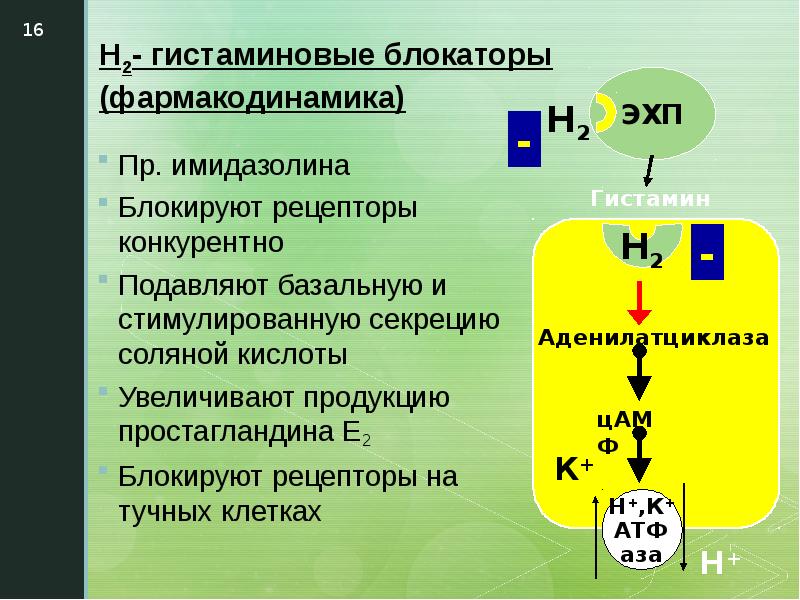 Блокаторы рецепторов