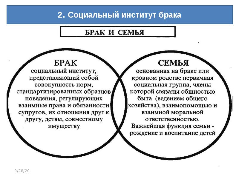 План институт брака