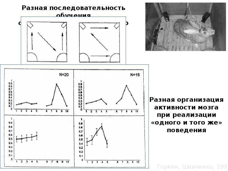 Разные порядки