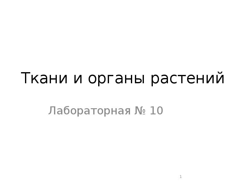 Ткани и органы растений Лабораторная № 10