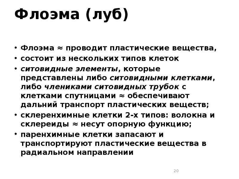 Флоэма (луб)   Флоэма ≈ проводит пластические вещества,  состоит