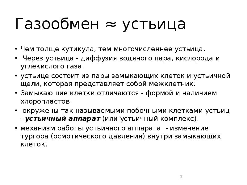Газообмен ≈ устьица Чем толще кутикула, тем многочисленнее устьица.  Через