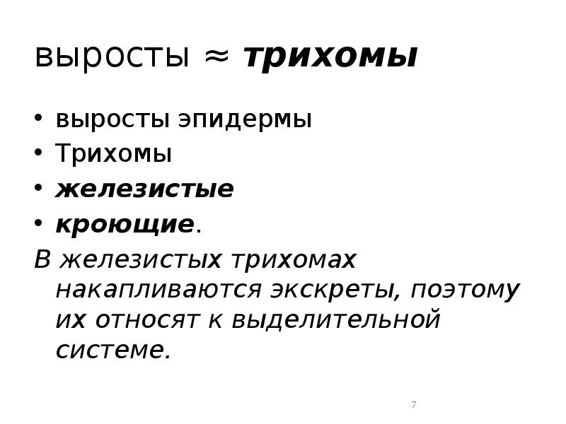 выросты ≈ трихомы  выросты эпидермы  Трихомы  железистые 