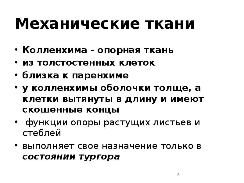 Механические ткани Колленхима - опорная ткань из толстостенных клеток близка к