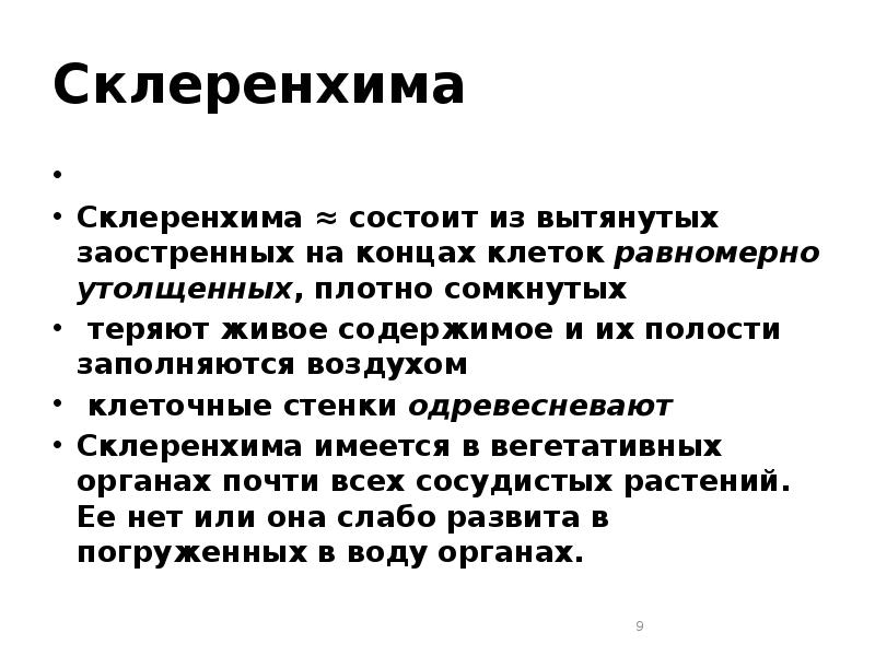 Склеренхима   Склеренхима ≈ состоит из вытянутых заостренных на концах