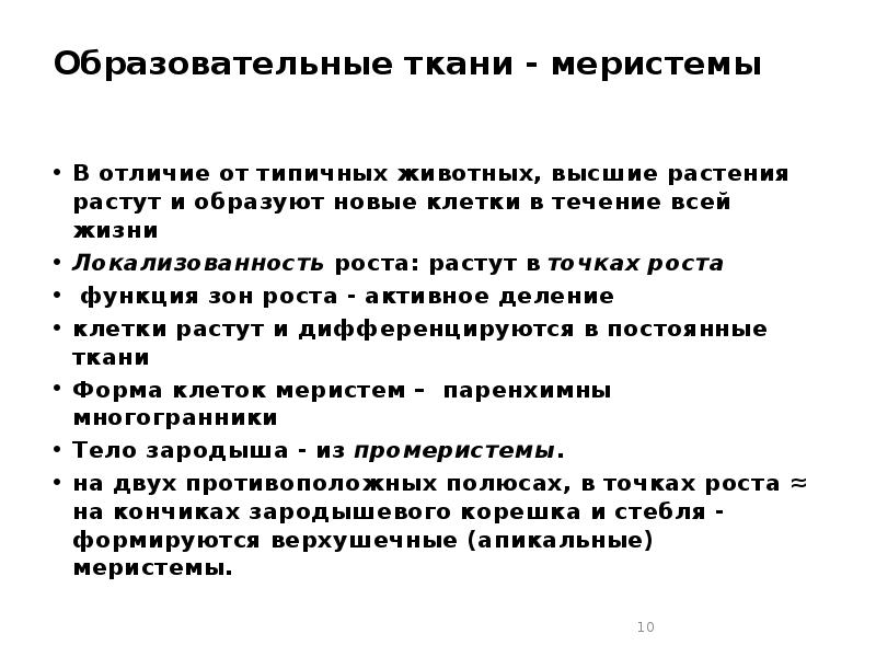 Образовательные ткани - меристемы  В отличие от типичных животных, высшие