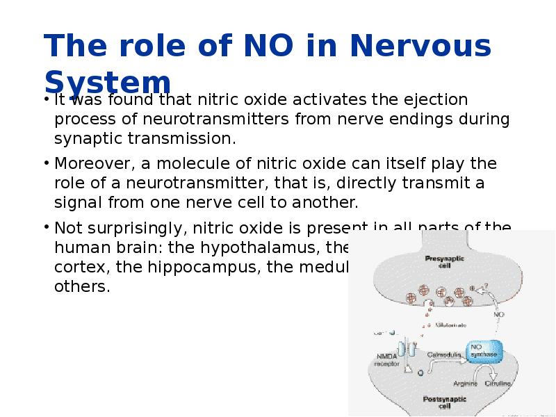 The role of NO in Nervous System It was found that