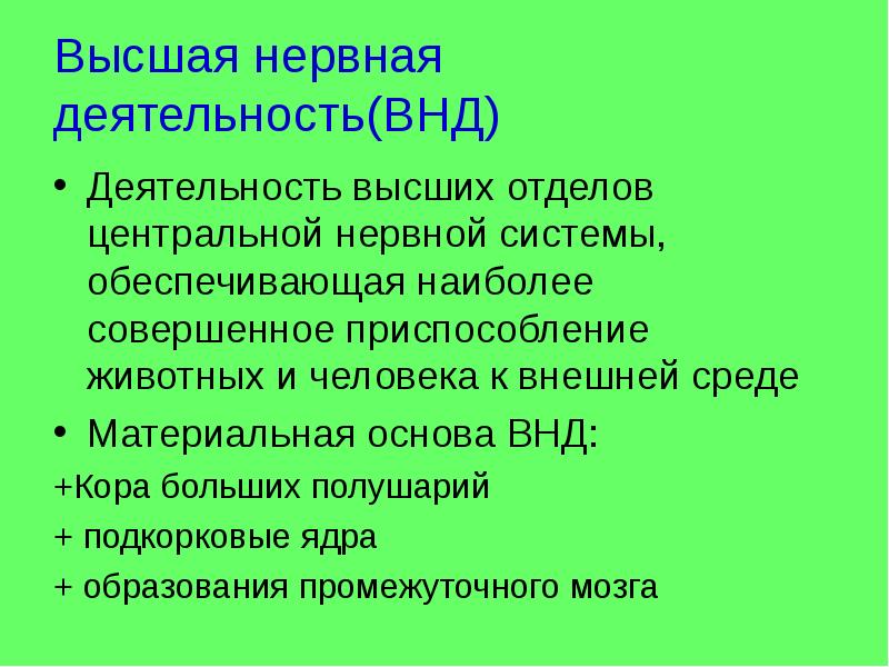 Высшая нервная деятельность человека презентация