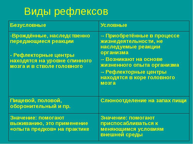 Высшая нервная деятельность фото