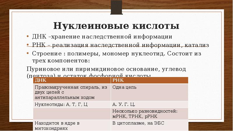 Днк хранение информации. Роль нуклеиновых кислот в реализации наследственной информации. 3) хранят наследственную информацию. что хранит наследственную информацию в углеводах. срок годности днк.
