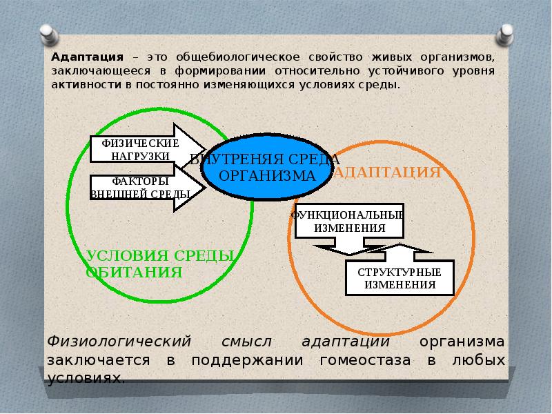 Среда постоянно меняется. Адаптация как свойство живого. ОБЩЕБИОЛОГИЧЕСКИЕ свойства организма. Условия среды относительно постоянны. Способность к адаптации как общебиологическое свойство.