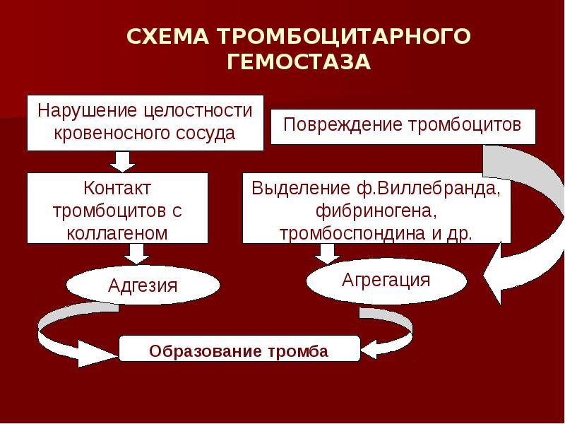 Сосудисто тромбоцитарный гемостаз схема