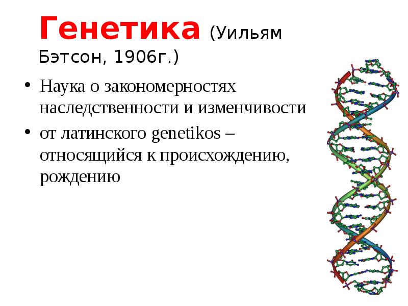 Презентация по биологии 10 класс генетика наука о закономерностях наследственности и изменчивости