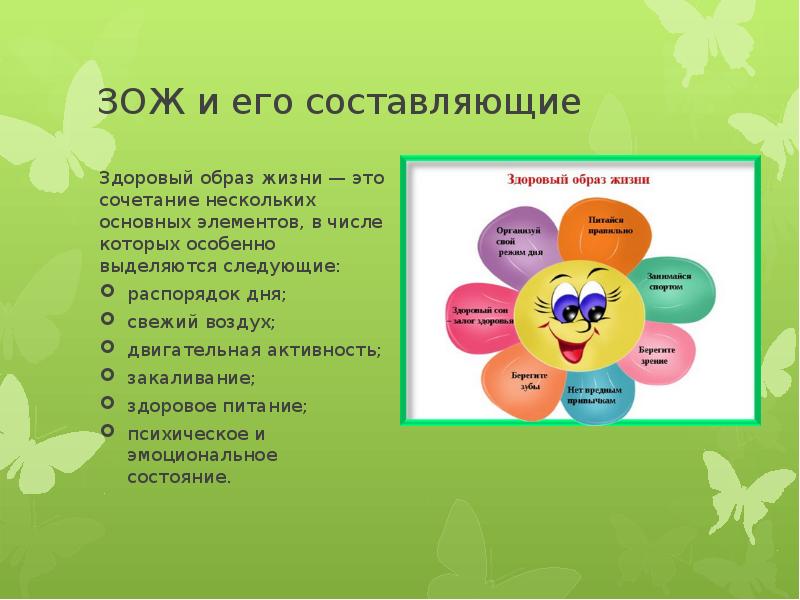 Составляющие зож картинки для презентации