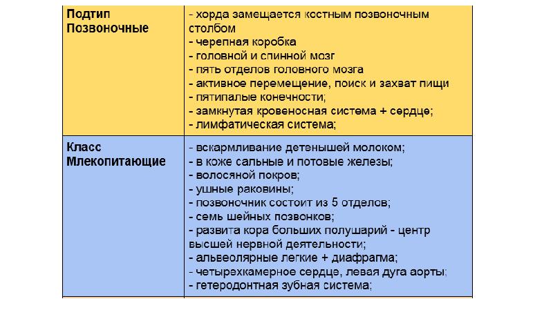 Человек представитель животного мира презентация 9 класс пономарева