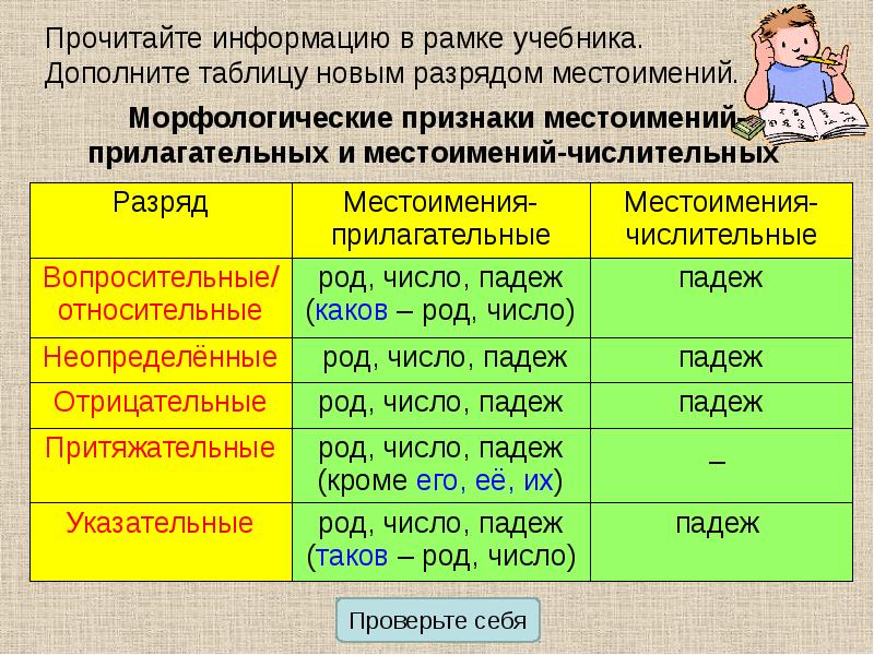 Существительные прилагательные числительные. Постоянные морфологические признаки местоимения. Местоимение морфологические признаки местоимений. Непостоянные признаки местоимения. Указательные местоимения прилагательные.