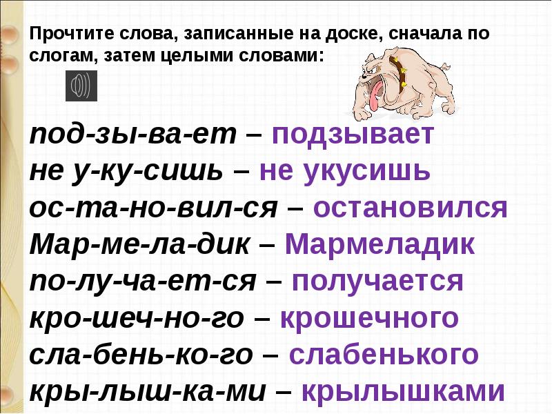 Сердитый дог буль план