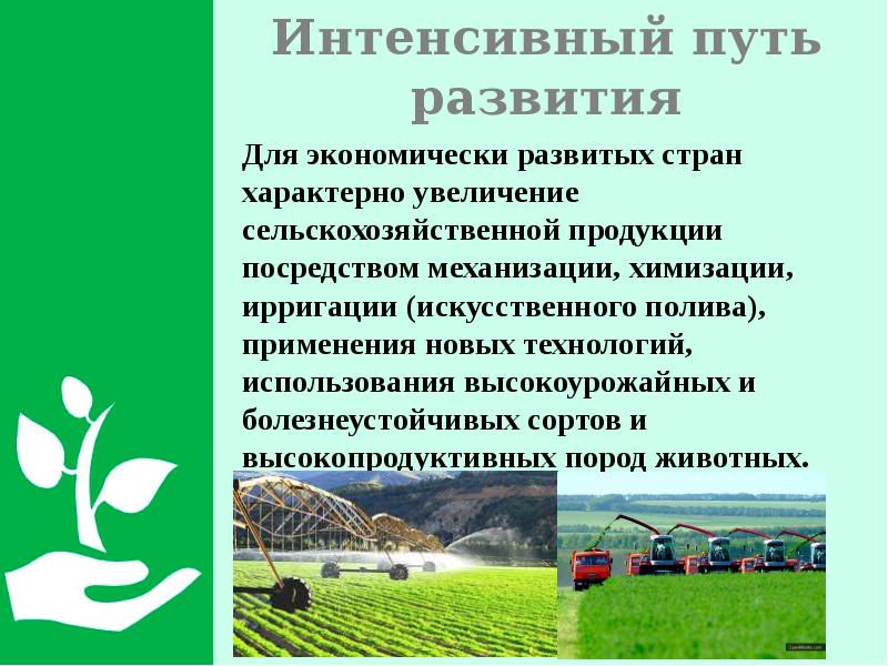 Интенсивное развитие