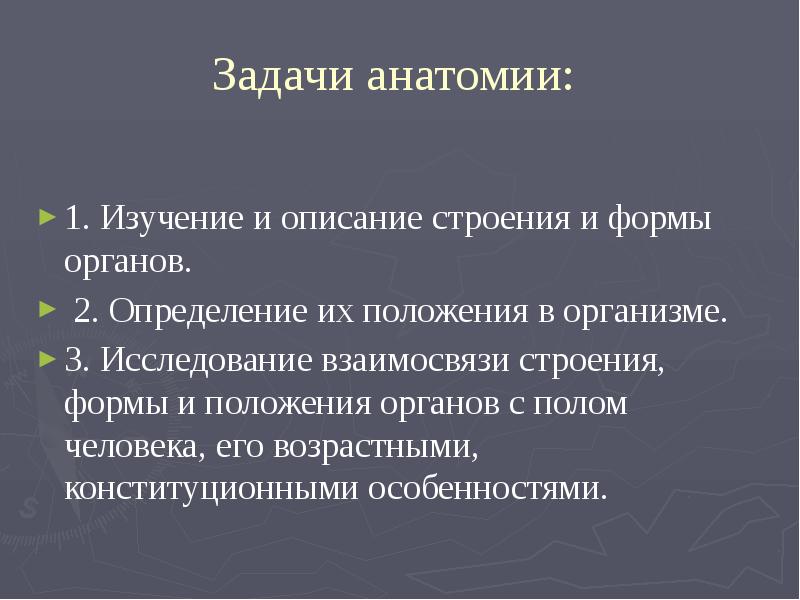 Основные задачи анатомии