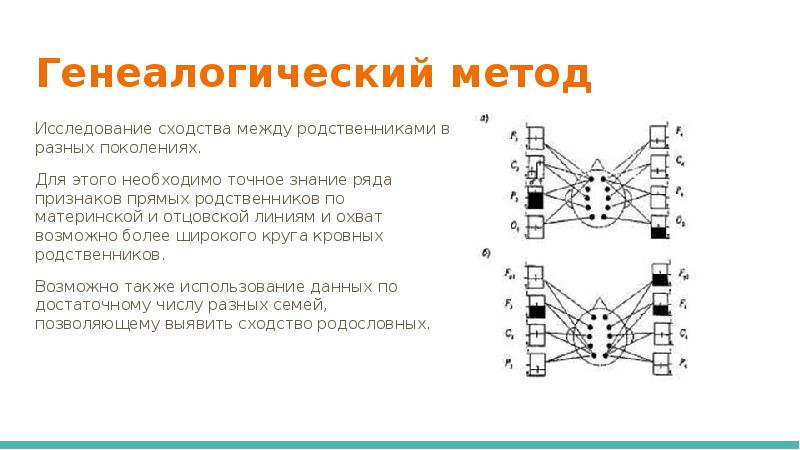 Проект генеалогический метод исследования