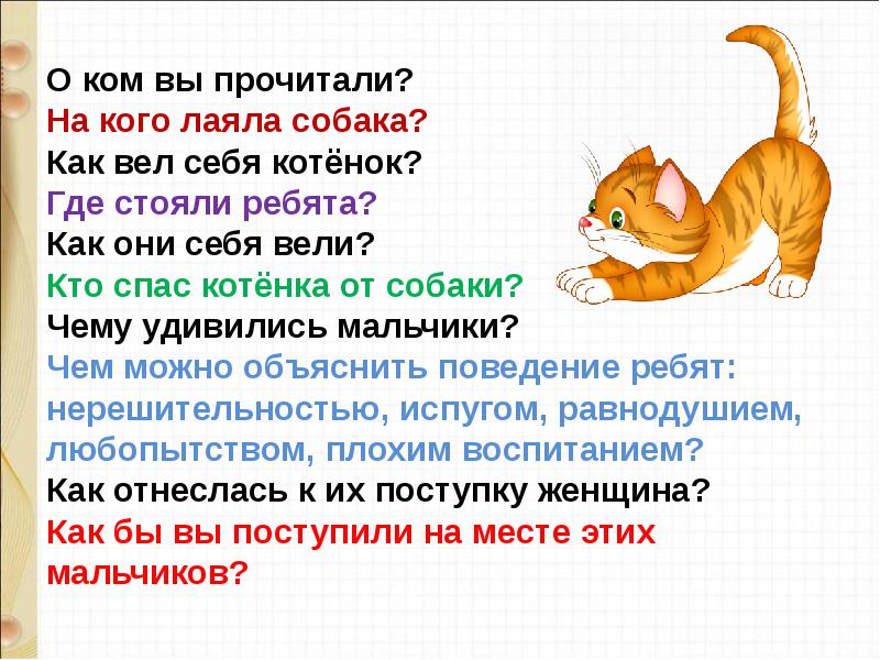 И токмакова котята презентация