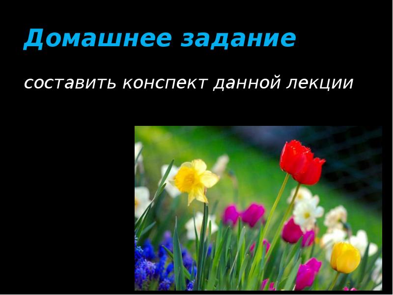 Домашнее задание составить конспект данной лекции