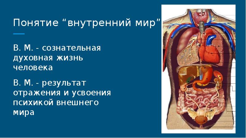 Презентация на тему внутренний мир человека