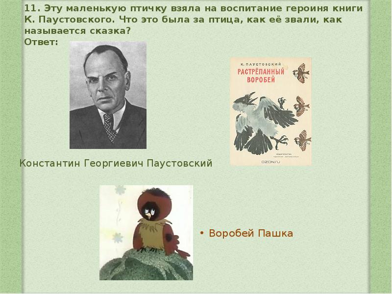 Как бы вы назвали эту сказку паустовского