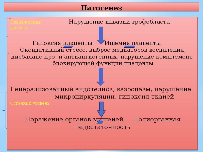 Токсикозы беременных презентация