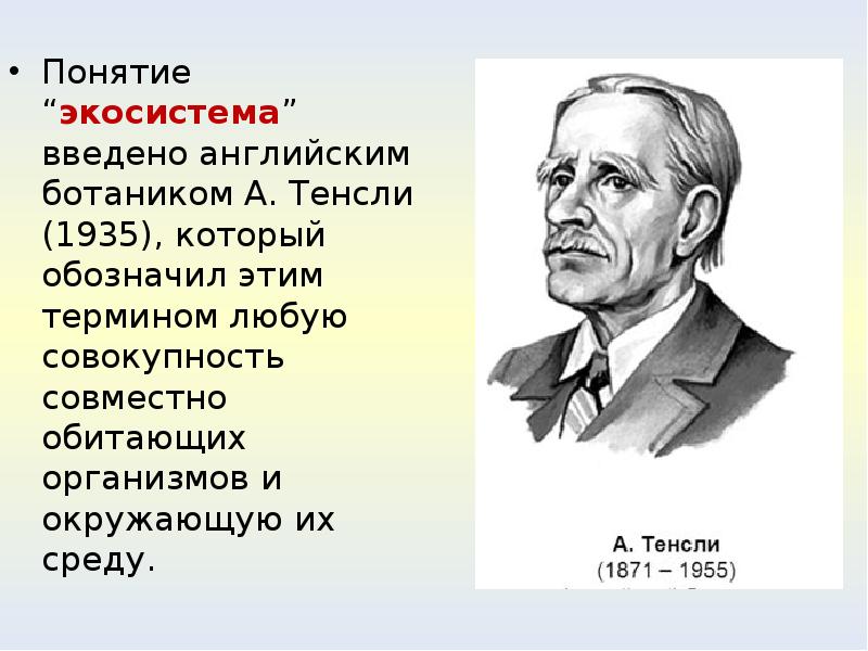 Кто ввел термин экология. Артур Тенсли экосистема. Артур Тенсли вклад в экологию биогеоценоз. Тенсли ввел понятие об экосистеме в:. Учение об экосистеме а.д.Тенсли.