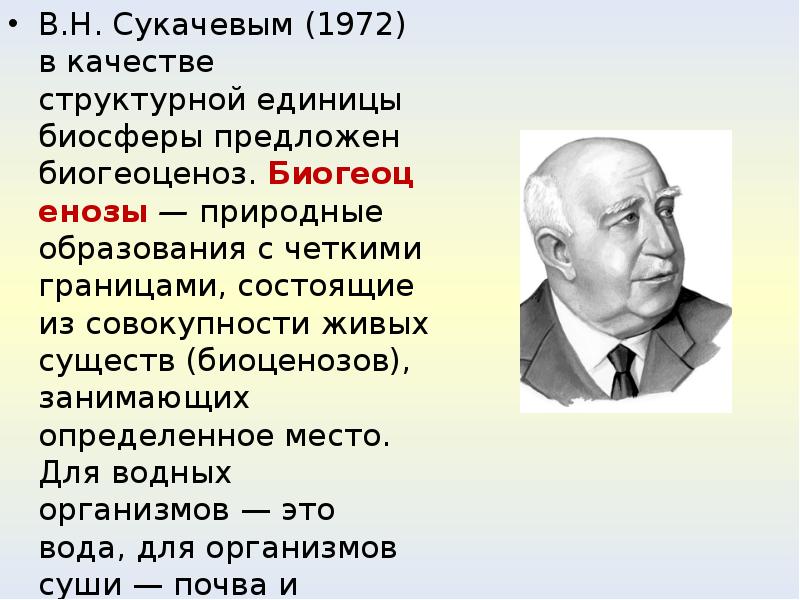 Сукачев владимир николаевич презентация